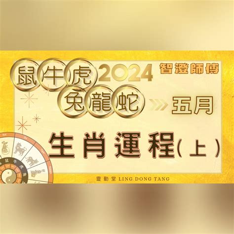 2024事業運|2024年十二生肖【事業/財運】解析！